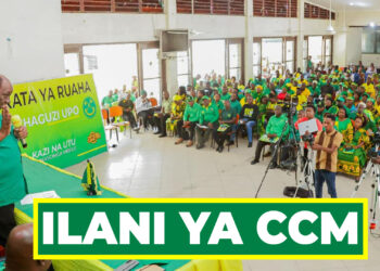 WASIRA AZUNGUMZIA FAIDA ILANI YA CCM