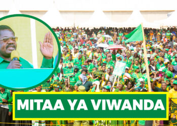 DK. NCHIMBI ATANGAZA MITAA YA VIWANDA NCHINI