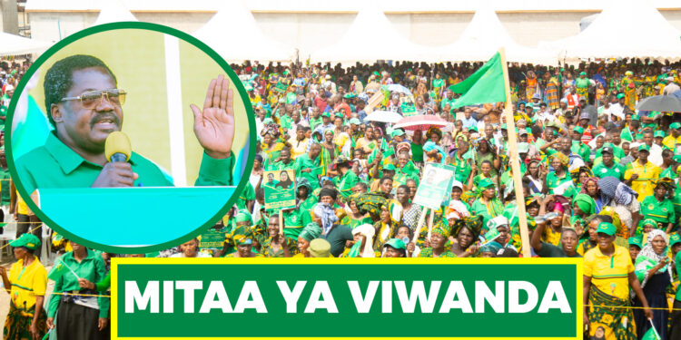 DK. NCHIMBI ATANGAZA MITAA YA VIWANDA NCHINI