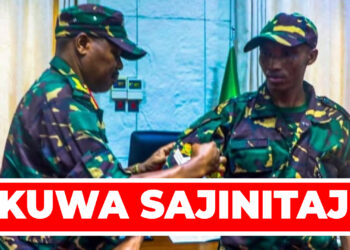 SIMBU APANDISHWA CHEO