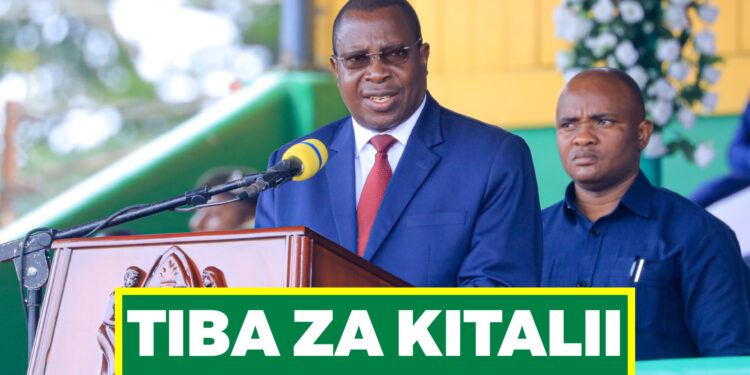SERIKALI ITAIMARISHA TIBA ZA KITALII – DK. MPANGO