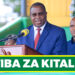 SERIKALI ITAIMARISHA TIBA ZA KITALII – DK. MPANGO