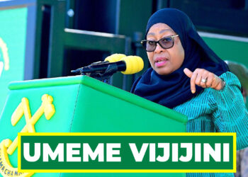 DK. SAMIA ASEMA UMEME WA KUTOSHA UMEPELEKWA VIJIJINI