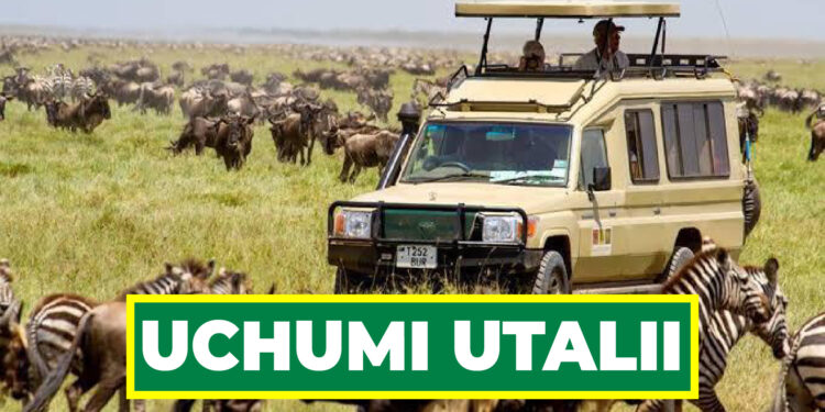 BILIONI 499/- ZAPATIKANA KUPITIA UTALII