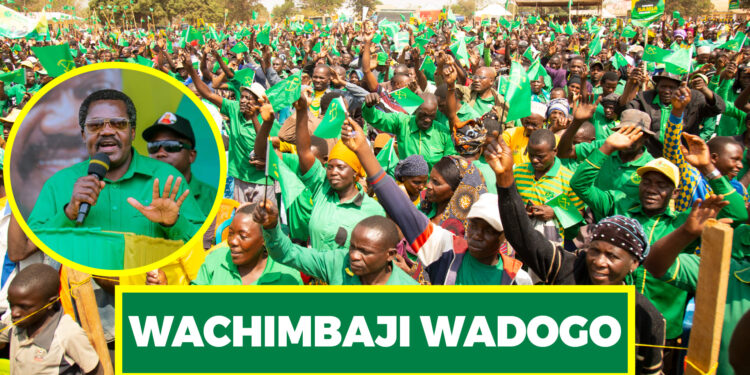 DK. NCHIMBI AWAAHIDI FURSA WACHIMBAJI WADOGO