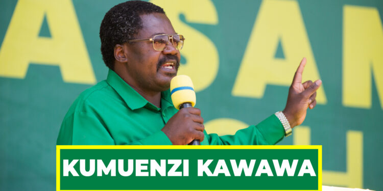 DK. NCHIMBI : CCM ITAENDELEA KUMUENZI HAYATI KAWAWA