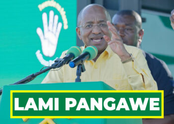 DK. MWINYI AAHIDI KUJENGA BARABARA ZA NDANI KWA KIWANGO CHA LAMI PANGAWE