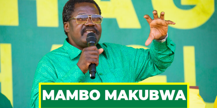 MTWARA KUCHELE! NCHIMBI AAHIDI MAMBO MAKUBWA