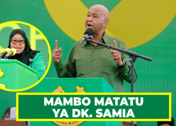 KINANA ATAJA MAMBO MATATU YA UJASIRI ALIYOFANYA DK. SAMIA