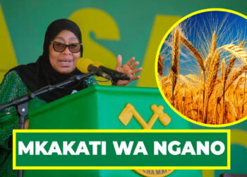 DK. SAMIA AAHIDI MKAKATI WA NGANO