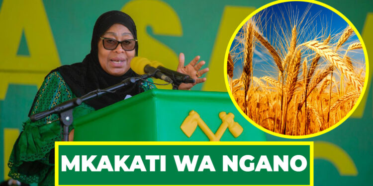 DK. SAMIA AAHIDI MKAKATI WA NGANO