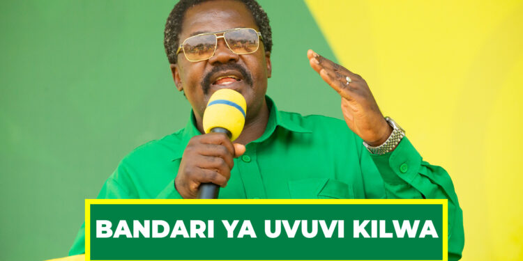 DK. NCHIMBI : TUTAKAMILISHA BANDARI YA UVUVI KILWA