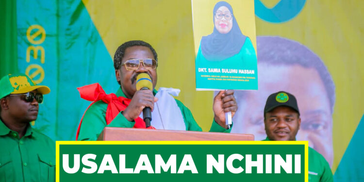 DK. NCHIMBI AELEZA DK. SAMIA ALIVYOSIMAMIA USALAMA NCHINI