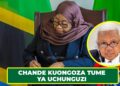 MOHAMED CHANDE KUONGOZA TUME YA UCHUNGUZI VURUGU ZA OKTOBA 29