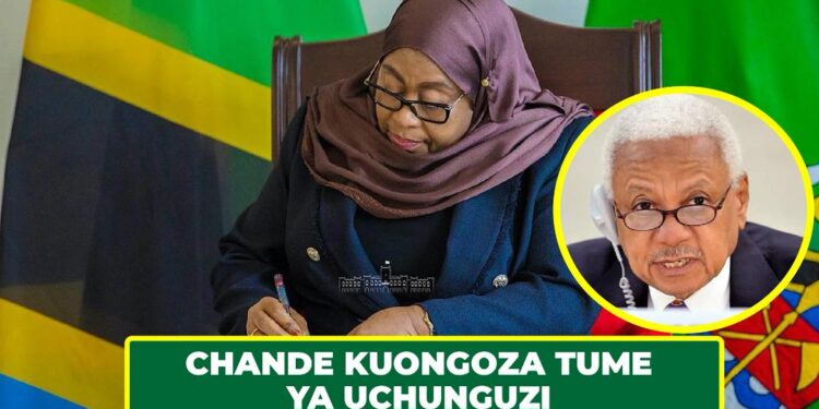 MOHAMED CHANDE KUONGOZA TUME YA UCHUNGUZI VURUGU ZA OKTOBA 29