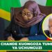 MOHAMED CHANDE KUONGOZA TUME YA UCHUNGUZI VURUGU ZA OKTOBA 29