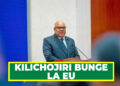SERIKALI YAWEKA BAYANA KILICHOJIRI BUNGE LA EU