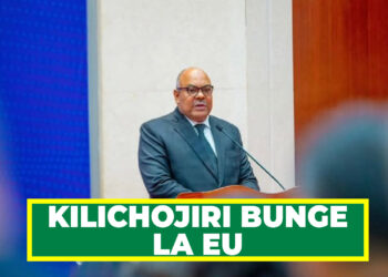 SERIKALI YAWEKA BAYANA KILICHOJIRI BUNGE LA EU