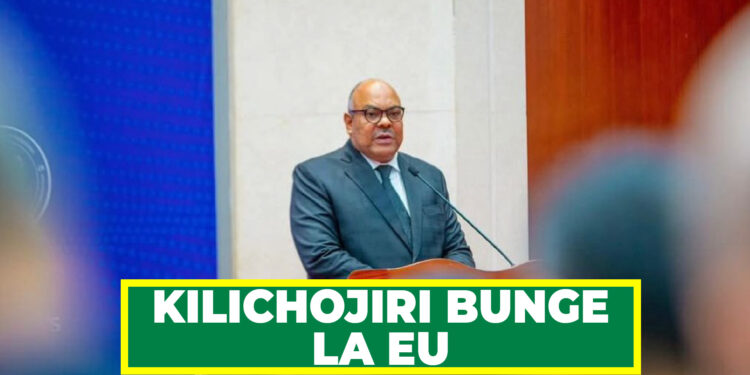 SERIKALI YAWEKA BAYANA KILICHOJIRI BUNGE LA EU
