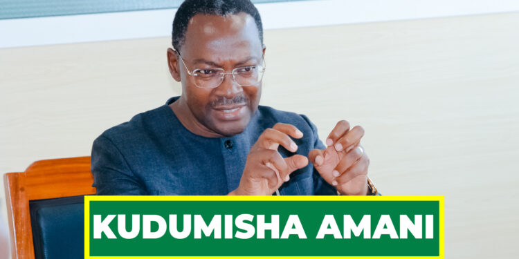 SIMBACHAWENE AHIMIZA KUDUMISHA ZAIDI AMANI