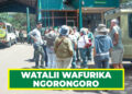 WATALII WAENDELEA KUFURIKA NGORONGORO, WASIFU AMANI NA VIVUTIO VYA TANZANIA