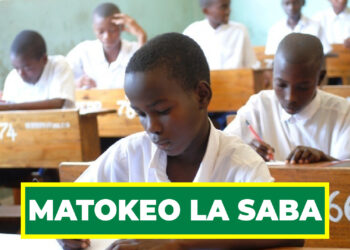 MATOKEO YA DARASA LA SABA YATANGAZWA