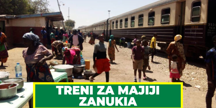 TRENI ZA JIJI DAR, DODOMA ZANUKIA