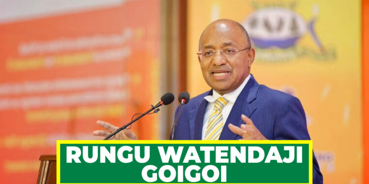 RAIS DK. MWINYI KUSHUSHA RUNGU WATENDAJI GOIGOI