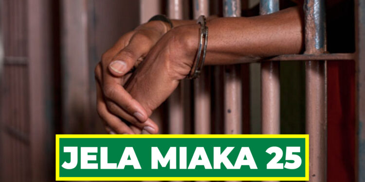 JELA MIAKA 25 KWA KUSAFIRISHA DAWA ZA KULEVYA