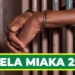 JELA MIAKA 25 KWA KUSAFIRISHA DAWA ZA KULEVYA