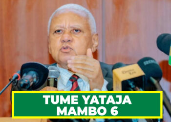 TUME YATAJA MAMBO 6  ITAKAYOYAFANYIA KAZI