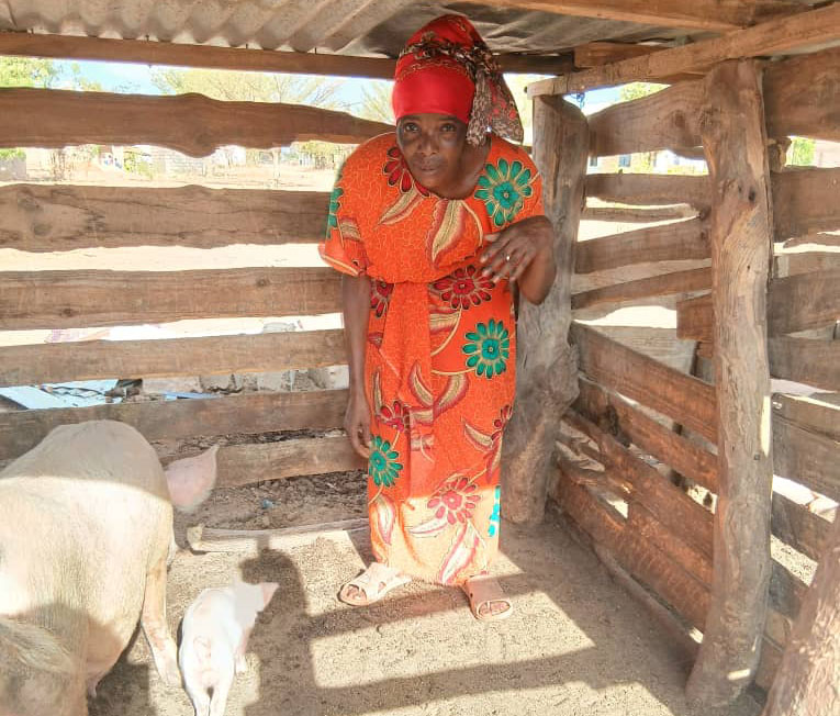 MNUFAIKA wa Mpango wa Kunusuru Kaya Maskini unaotekelezwa na TASAF, Monica Masagasi, mkazi wa Mtaa wa Mapinduzi, Chamwino jijini Dodoma, akihudumia mifugo ambayo mtaji wake aliwezeshwa na mfuko huo.