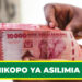 SIMULIZI MAAJABU MIKOPO YA ASILIMIA 10