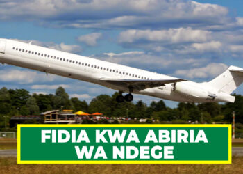 IJUE SHERIA MPYA YA FIDIA KWA ABIRIA WA NDEGE 