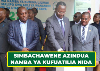 SIMBACHAWENE AZINDUA NAMBA YA KUFUATILIA NIDA