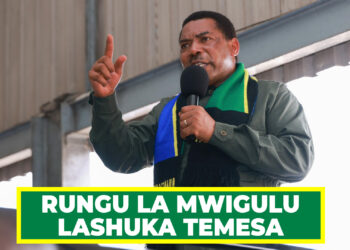 RUNGU LA MWIGULU LASHUKA TEMESA