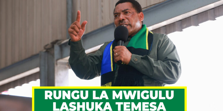 RUNGU LA MWIGULU LASHUKA TEMESA