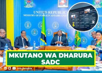 NAIBU WAZIRI MAGHEMBE AONGOZA UJUMBE WA TANZANIA MKUTANO WA DHARURA WA SADC