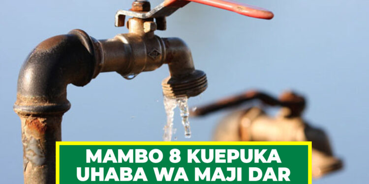 WATAALAMU WATAJA MAMBO 8 KUEPUKA UHABA WA MAJI DAR