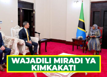 RAIS DK. SAMIA, BALOZI WA MAREKANI WAJADILI MIRADI YA KIMKAKATI