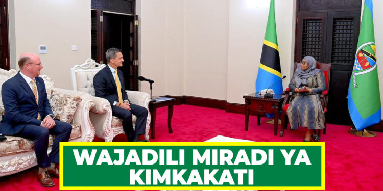 RAIS DK. SAMIA, BALOZI WA MAREKANI WAJADILI MIRADI YA KIMKAKATI