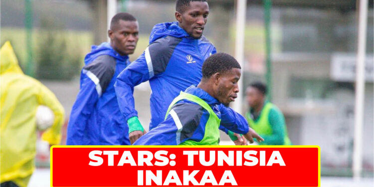 STARS: TUNISIA INAKAA