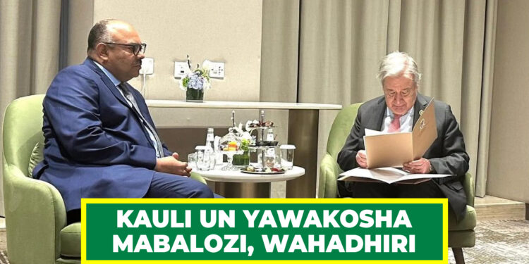 KAULI UN YAWAKOSHA MABALOZI, WAHADHIRI