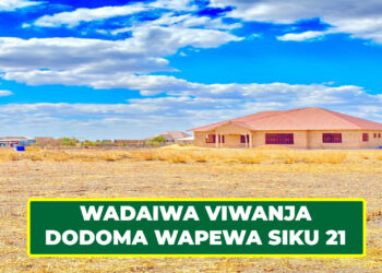 WADAIWA VIWANJA 6,560 DODOMA WAPEWA SIKU 21
