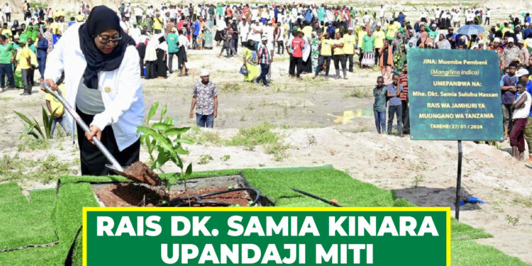 RAIS DK. SAMIA KINARA UPANDAJI MITI