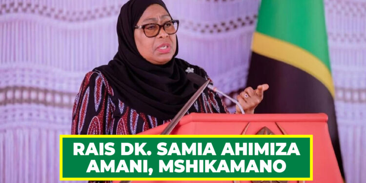 RAIS DK. SAMIA AHIMIZA AMANI, MSHIKAMANO