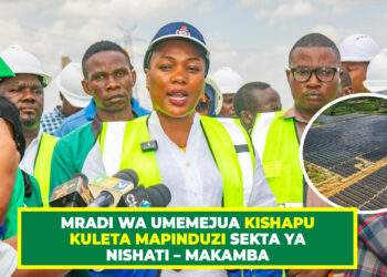 MRADI WA UMEMEJUA KISHAPU KULETA MAPINDUZI SEKTA YA NISHATI – MAKAMBA