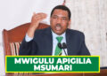 MWIGULU APIGILIA MSUMARI