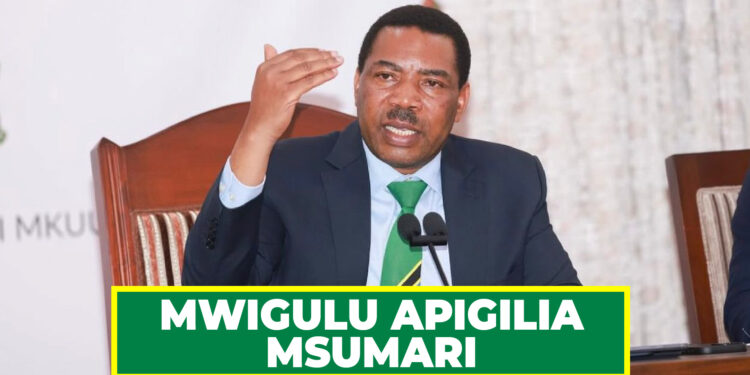 MWIGULU APIGILIA MSUMARI