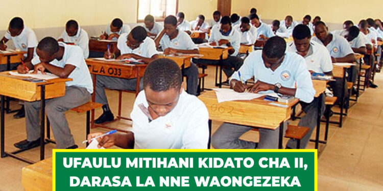 UFAULU MITIHANI KIDATO CHA II, DARASA LA NNE WAONGEZEKA